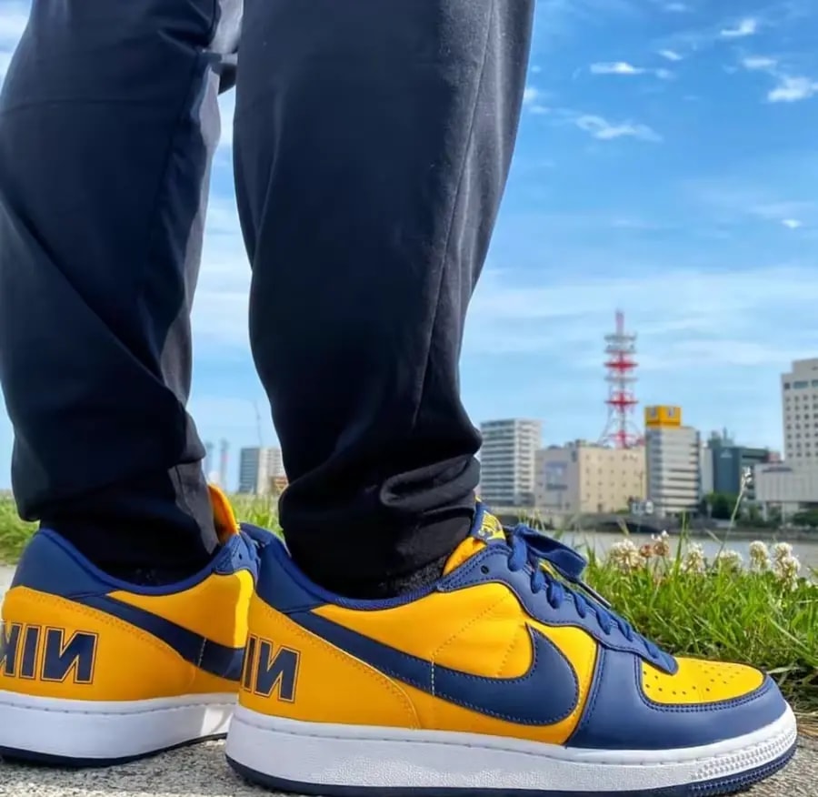 Giày Nike Terminator Low 'University Gold Navy' FJ4206-700 — ảnh 5