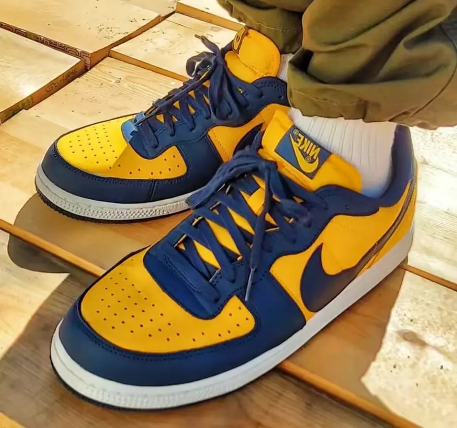 Giày Nike Terminator Low 'University Gold Navy' FJ4206-700 — ảnh 3