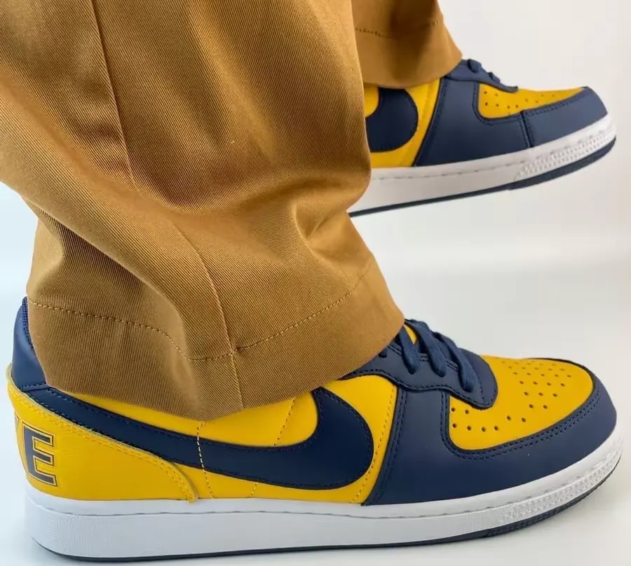 Giày Nike Terminator Low 'University Gold Navy' FJ4206-700 — ảnh 2