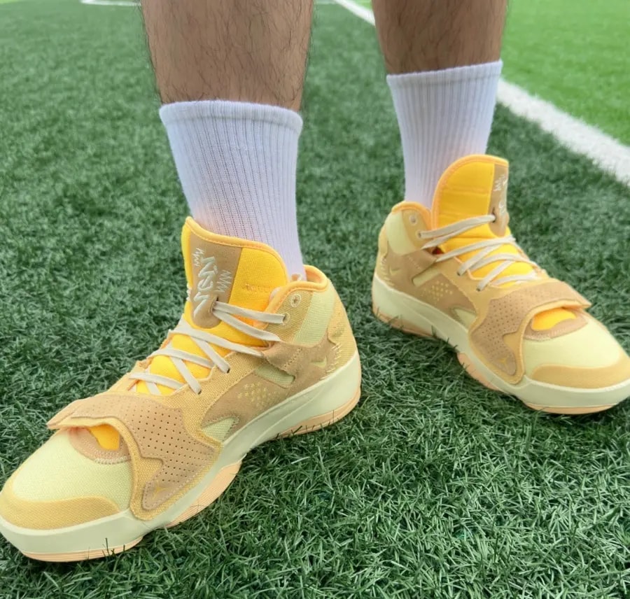 Giày Nike Air Jordan Zion 2 PF 'Full Moon' FJ2956-200 — ảnh 3