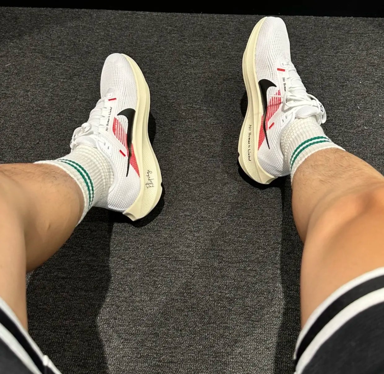 Giày Nike Air Zoom Pegasus 40 'Eliud Kipchoge' FJ0686-100 — ảnh 4