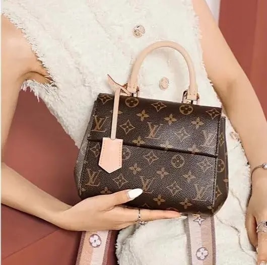 Túi Louis Vuitton Cluny Mini Bag 'Brown' M46055 — ảnh 2