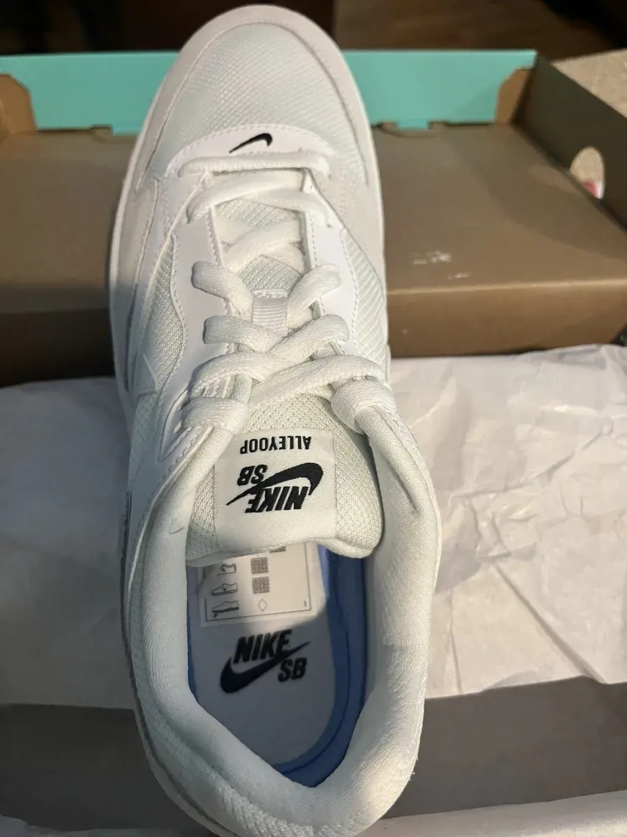 Giày Nike Alleyoop SB 'White Sail' CJ0882-101 — ảnh 5