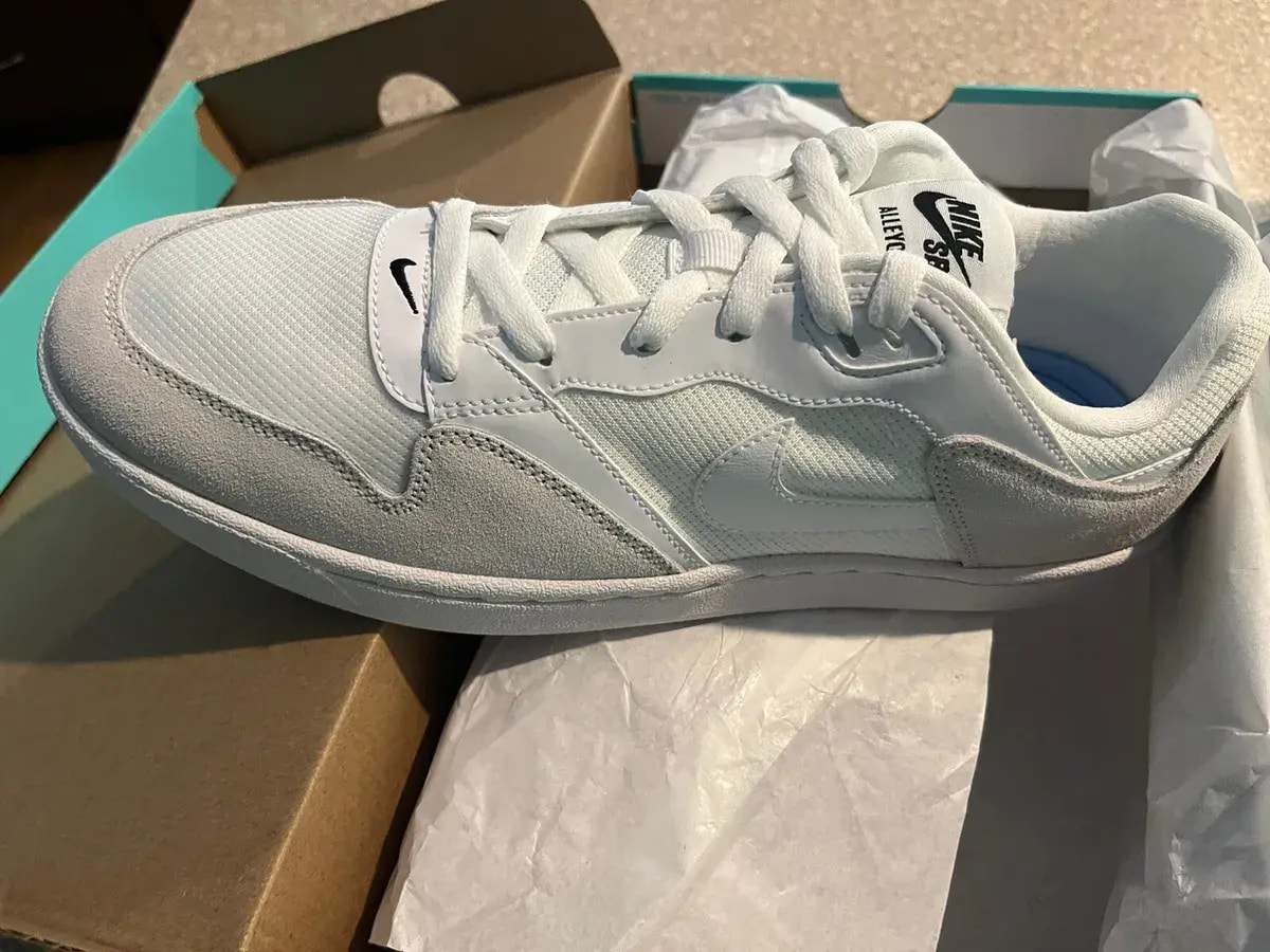 Giày Nike Alleyoop SB 'White Sail' CJ0882-101 — ảnh 4