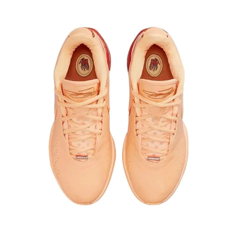 Giày Nike LeBron 21 'Melo Melo' FV2346-800 — ảnh 4