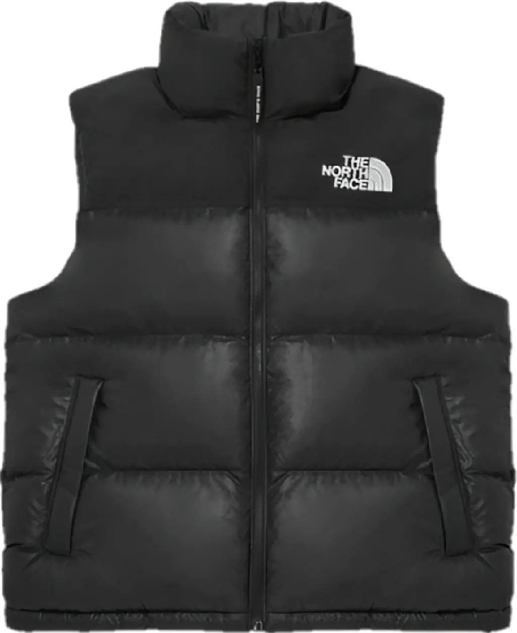 Áo The North Face 'Nuptse On Ball' NV3NP55D — kich-thuoc: L