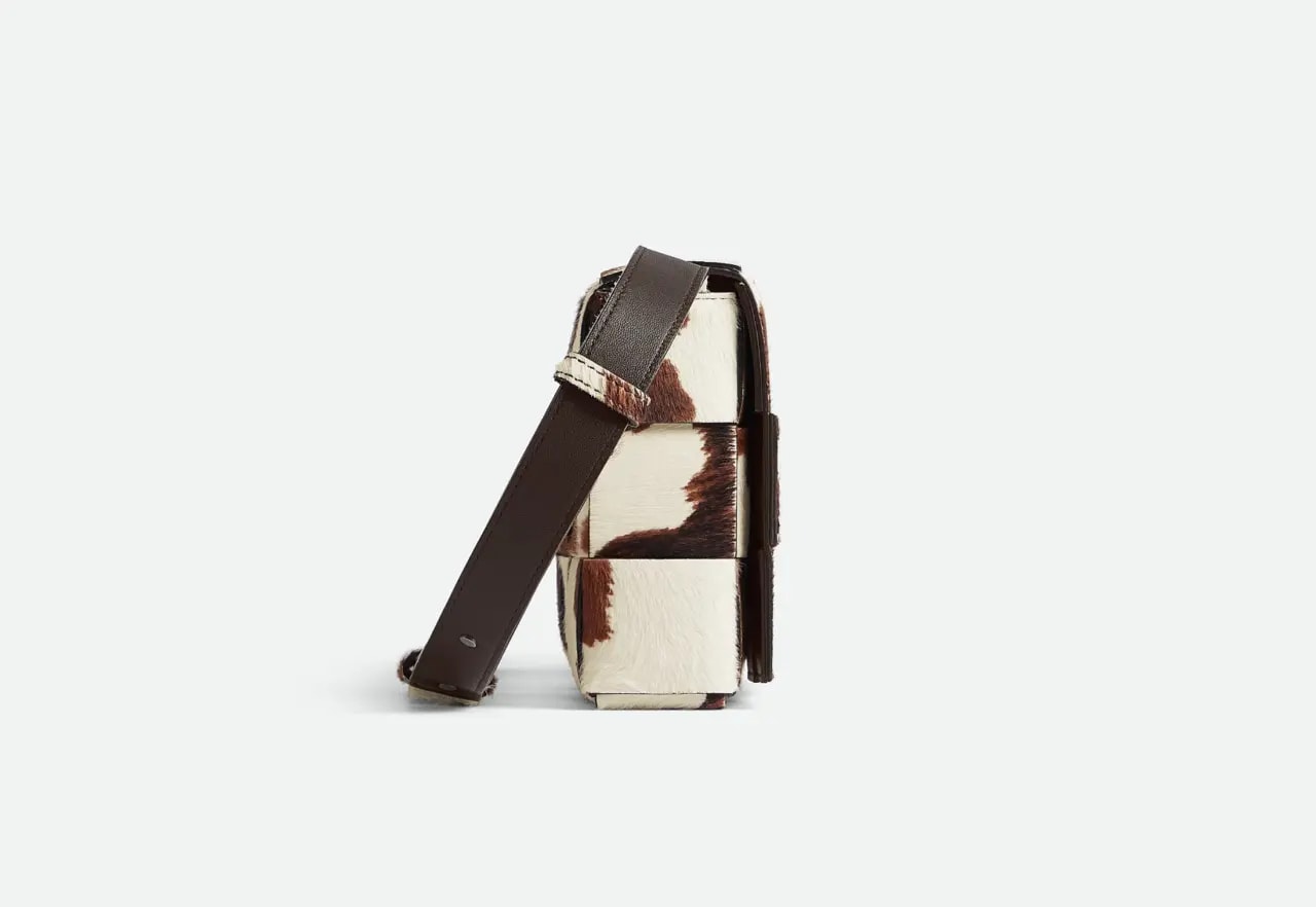 Túi Bottega Veneta Cassette 'Multicolor' 758105V3LS29163 — ảnh 5