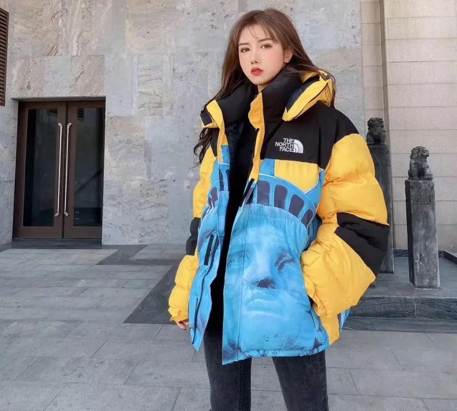 Áo Supreme x The North Face Jacket 'Yellow' SUP-FW19-907 — ảnh 3