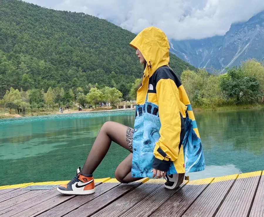 Áo Supreme x The North Face Jacket 'Yellow' SUP-FW19-907 — ảnh 5