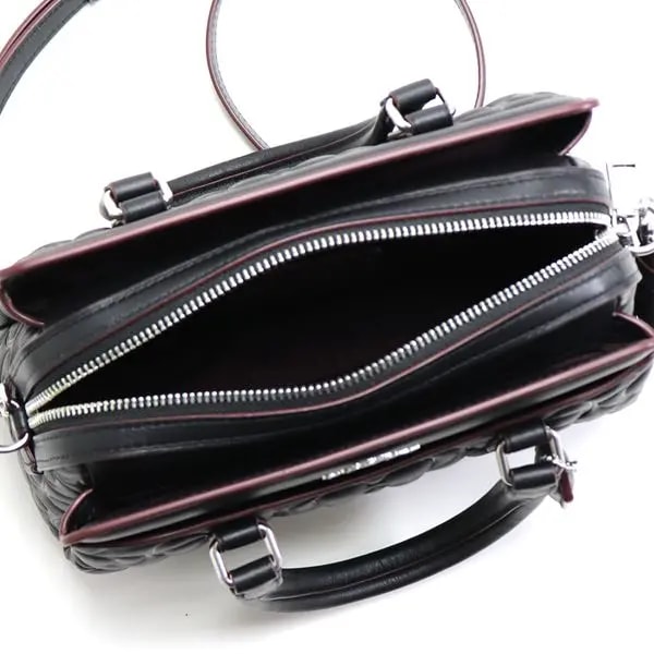 Túi Coach Mini Darcie Carryall CM050-SVDTV — ảnh 2
