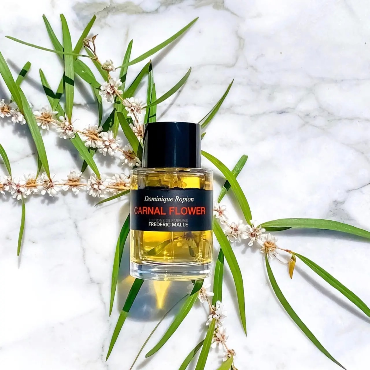 Nước Hoa Frederic Malle Carnal Flower — ảnh 4