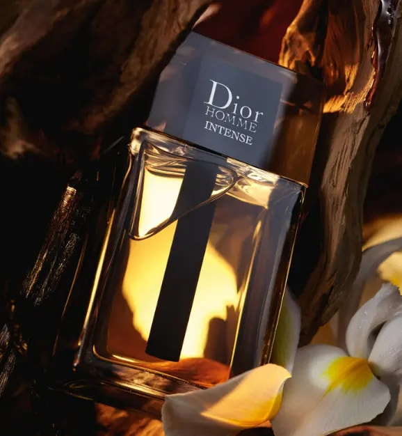 Nước Hoa Dior Homme Intense — ảnh 4