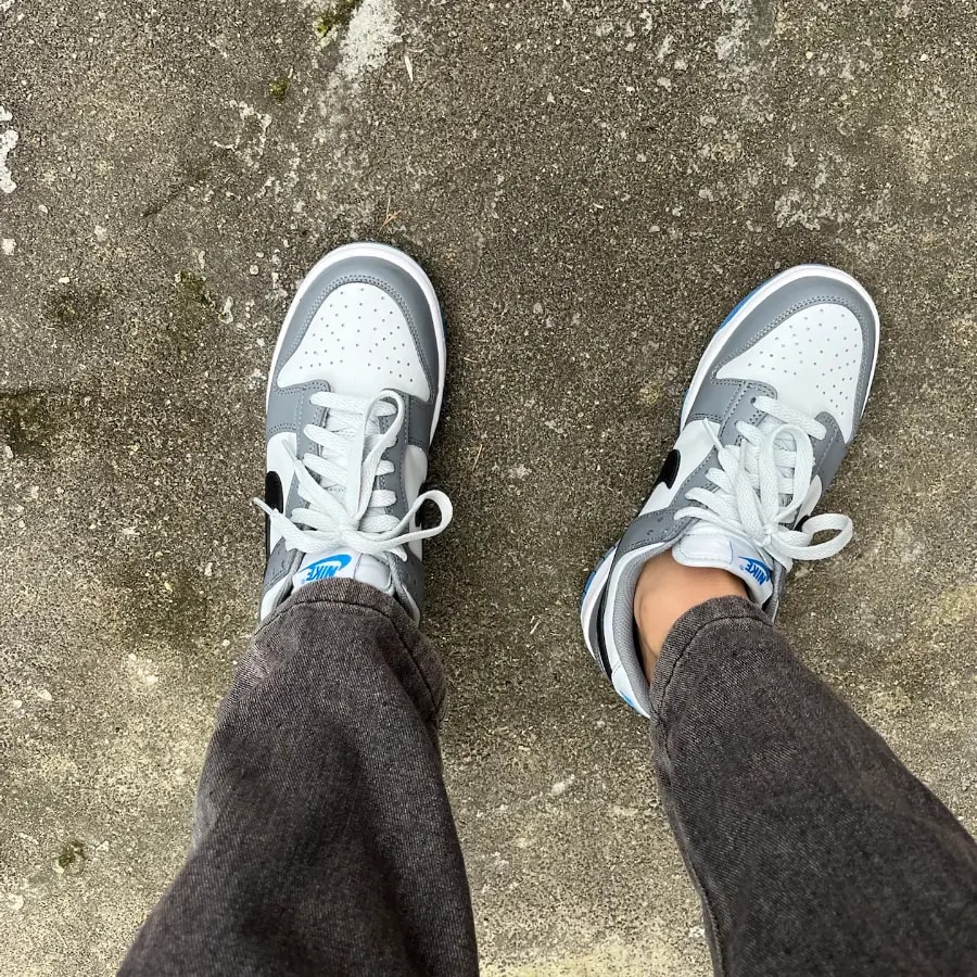 Giày Nike Dunk Low GS 'Cool Grey Photo Blue' FB9109-001 — ảnh 4