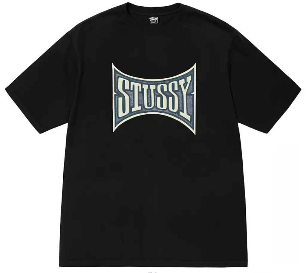 Áo Stussy Champion Pigment Dyed Tee 'Black' — kich-thuoc: L