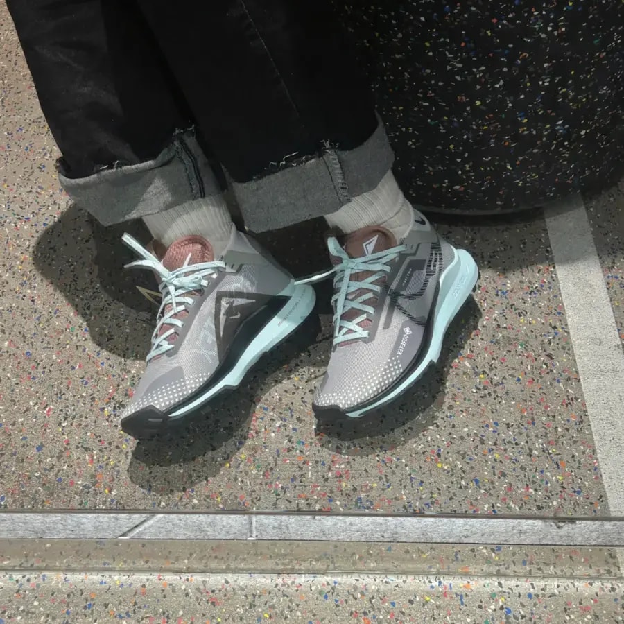 Giày Nike React Pegasus Trail 4 GORE-TEX 'Smoke' DJ7929-005 — ảnh 2