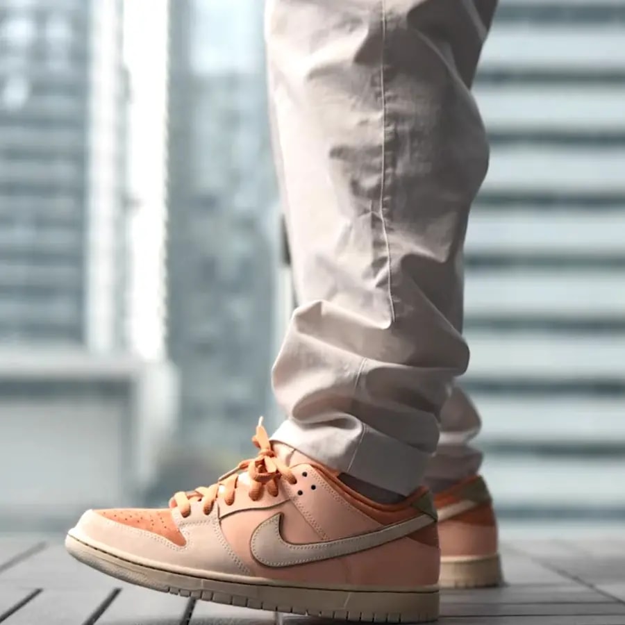 Giày Nike Dunk Low SB 'Trocadéro Gardens' FV5926-200 — ảnh 3