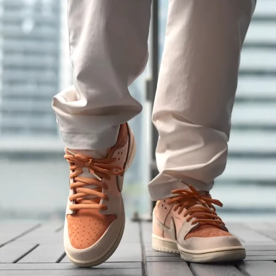 Giày Nike Dunk Low SB 'Trocadéro Gardens' FV5926-200 — ảnh 5