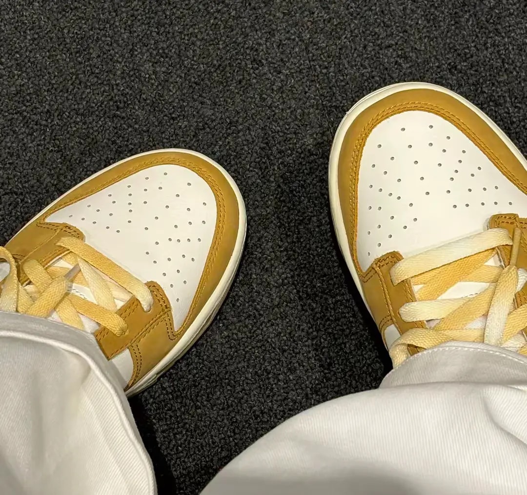 Giày Nike Dunk Low Retro 'Orange Wheat' HM3729-181 — ảnh 3
