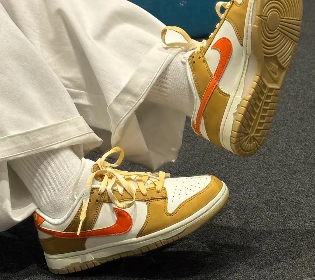 Giày Nike Dunk Low Retro 'Orange Wheat' HM3729-181 — ảnh 2