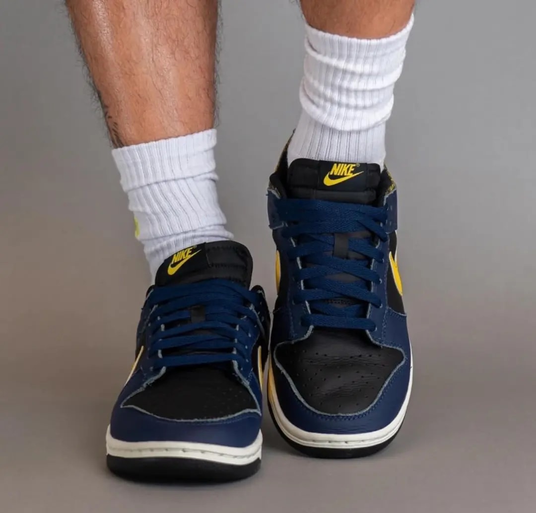 Giày Nike Dunk Low 'Vintage Michigan' FZ4014-010 — ảnh 4