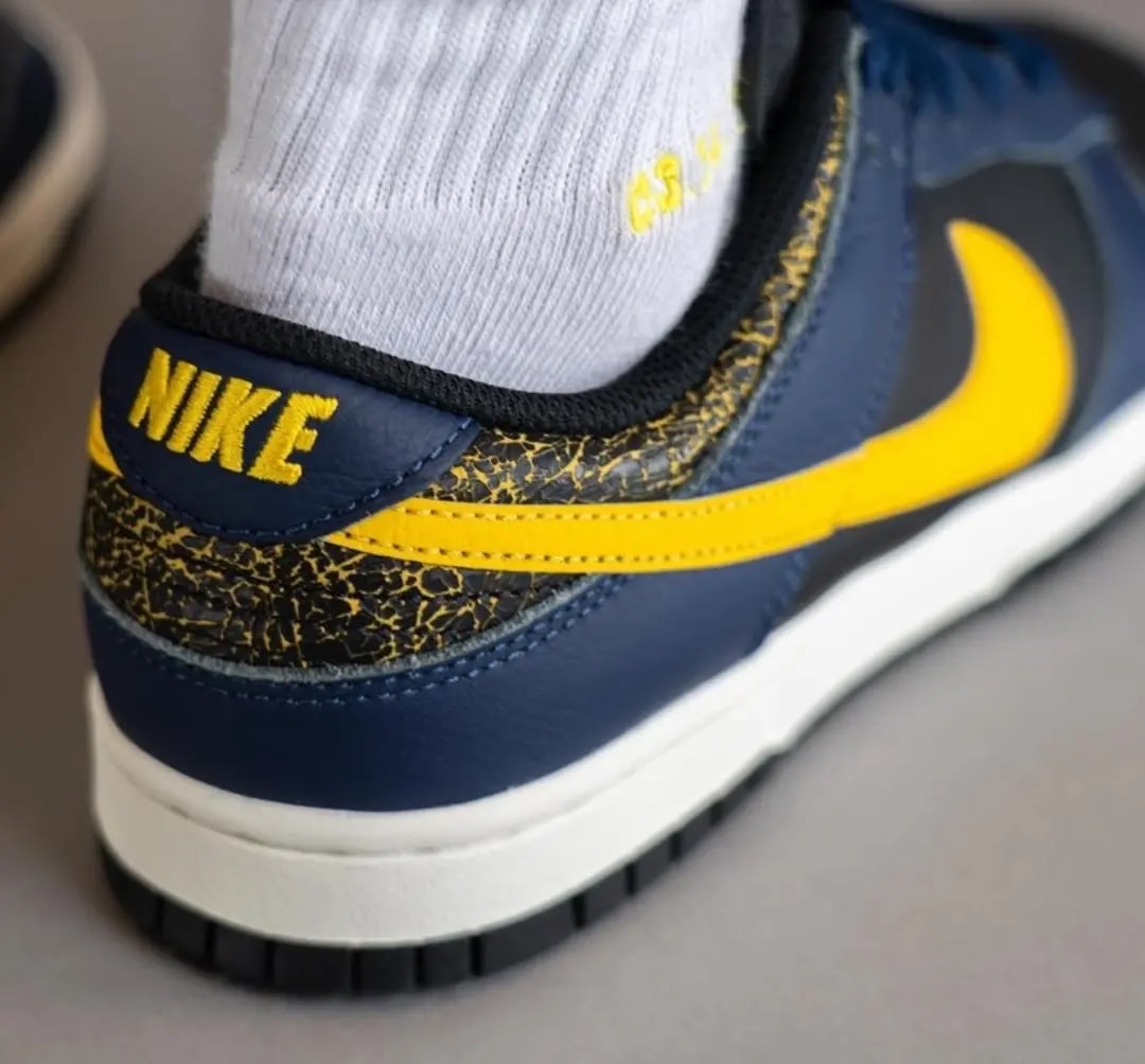 Giày Nike Dunk Low 'Vintage Michigan' FZ4014-010 — ảnh 3