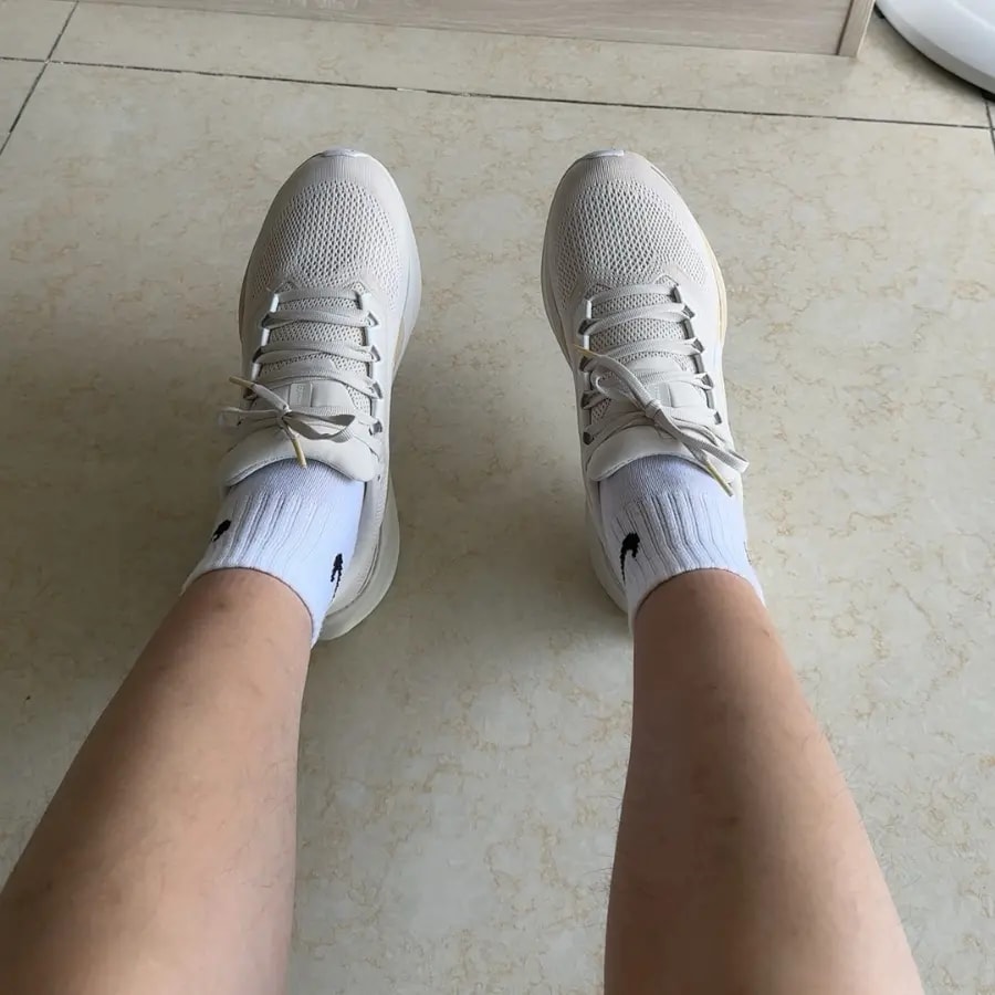Giày Nike Air Zoom Pegasus 41 'Light Brown' FD2722-106 — ảnh 2