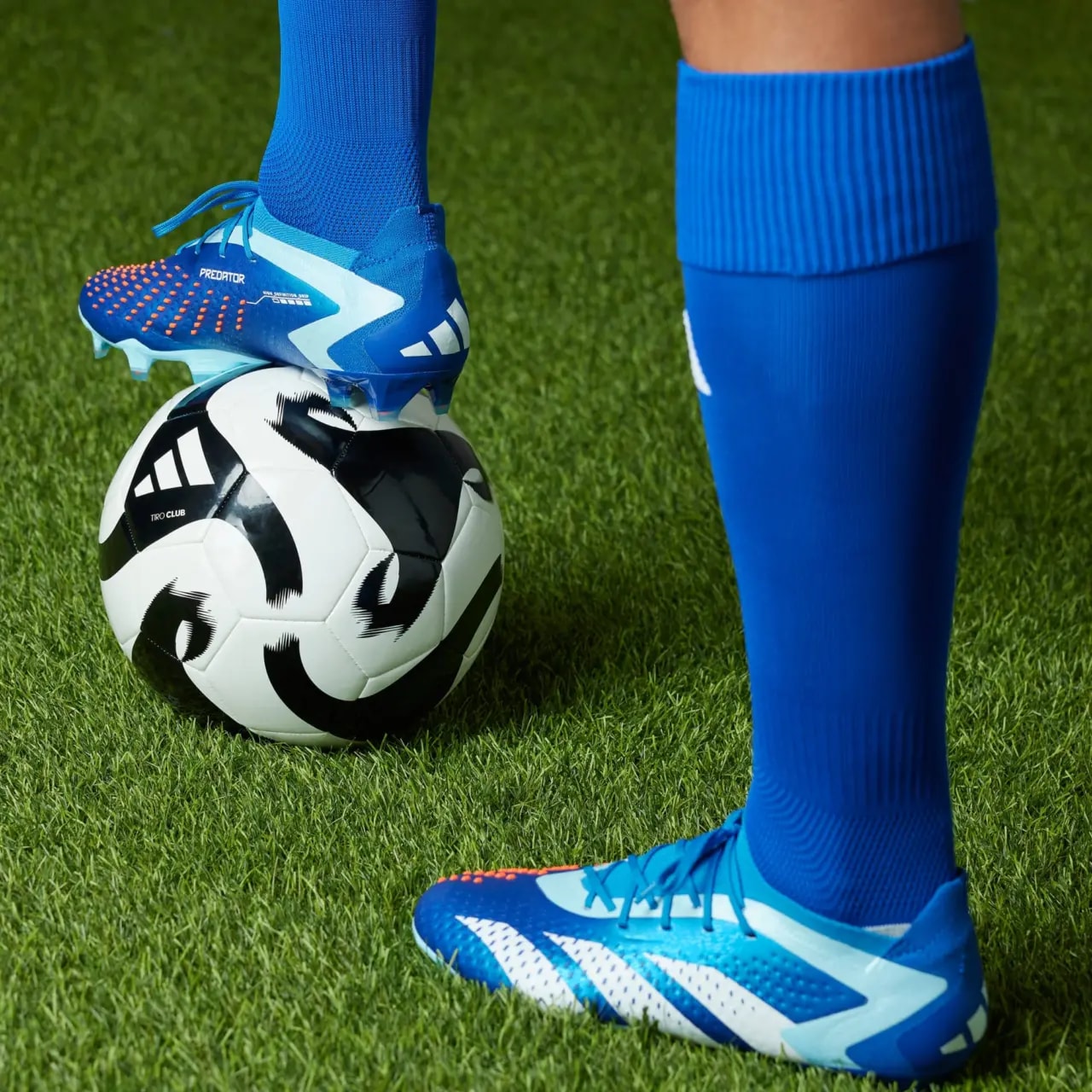 Giày Adidas Predator Accuracy.1 'Marinerush Pack' GZ0031 — ảnh 2