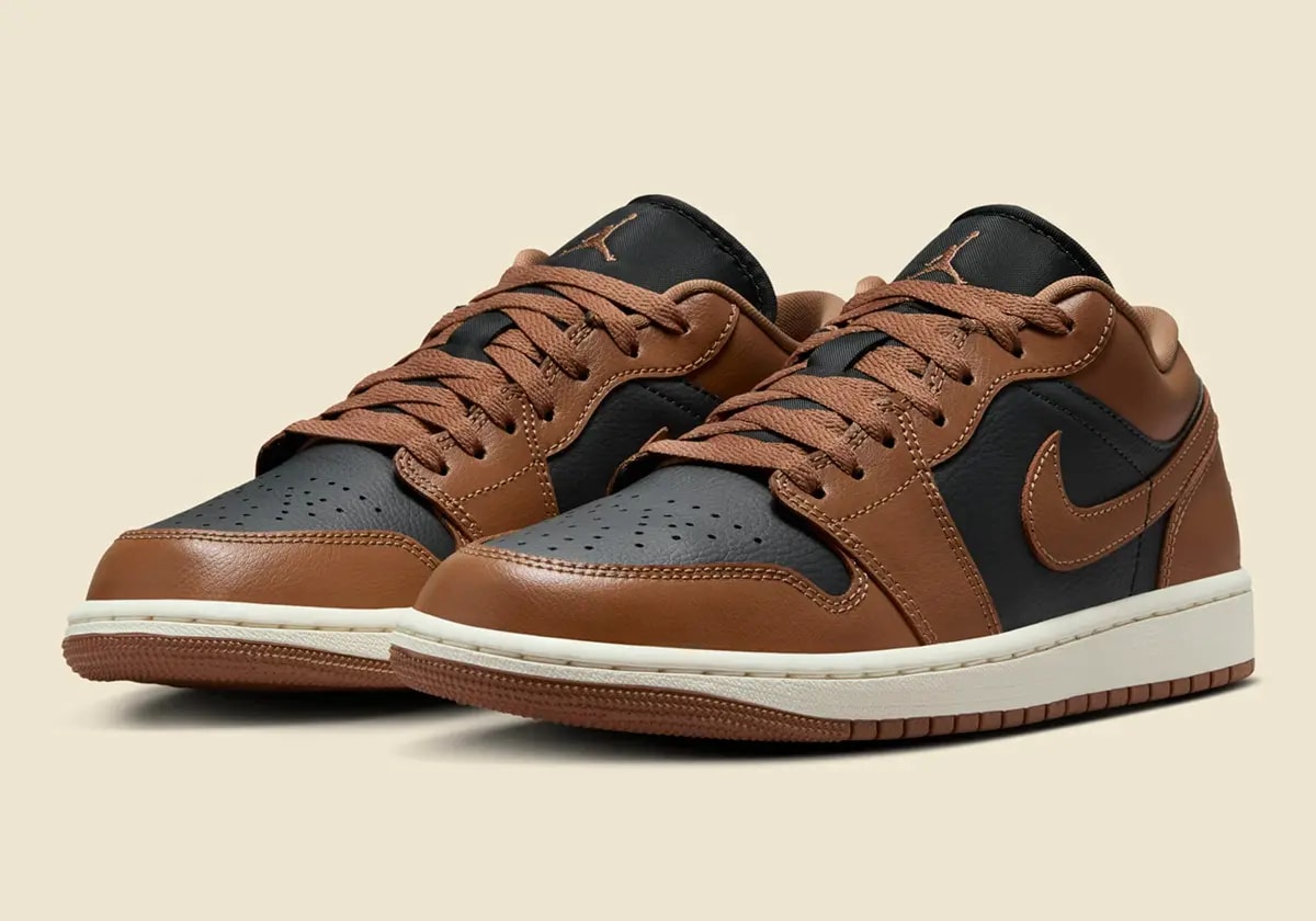 Giày Nike Air Jordan 1 Low 'Archaeo Brown' DC0774-021 — ảnh 5