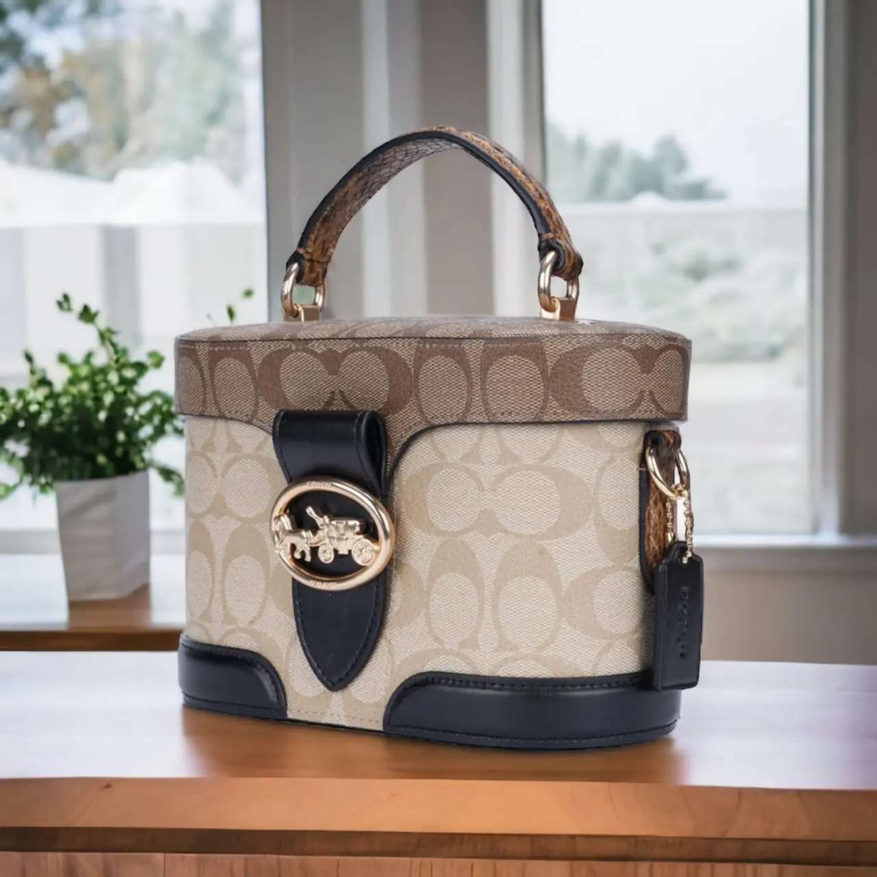 Túi Coach Georgie Gem Blocked Signature Canvas 'Beige' 5504-IMRKY — ảnh 3