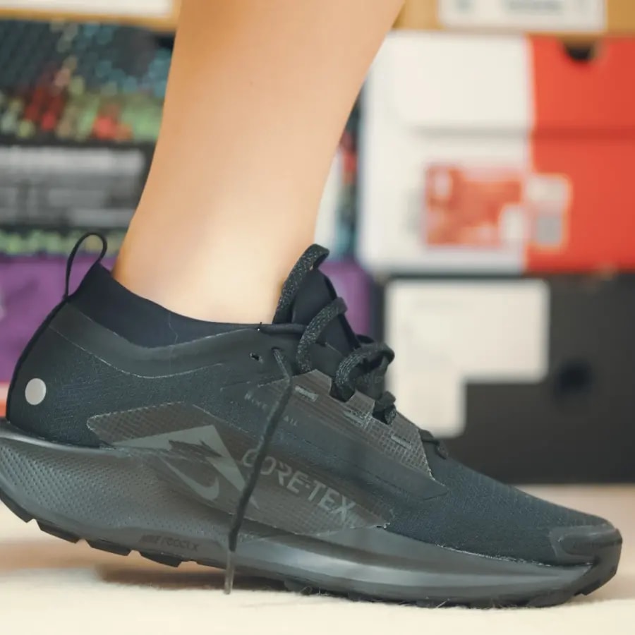 Giày Nike Pegasus Trail 5 GORE-TEX 'Black' FQ0908-002 — ảnh 2
