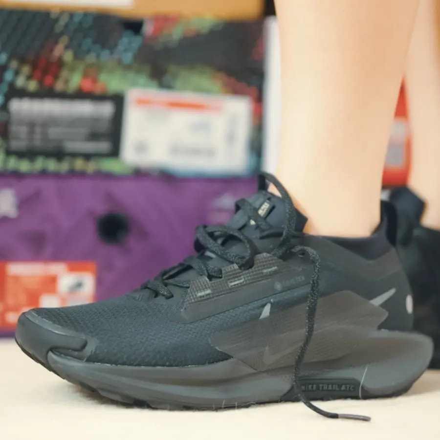 Giày Nike Pegasus Trail 5 GORE-TEX 'Black' FQ0908-002 — ảnh 4