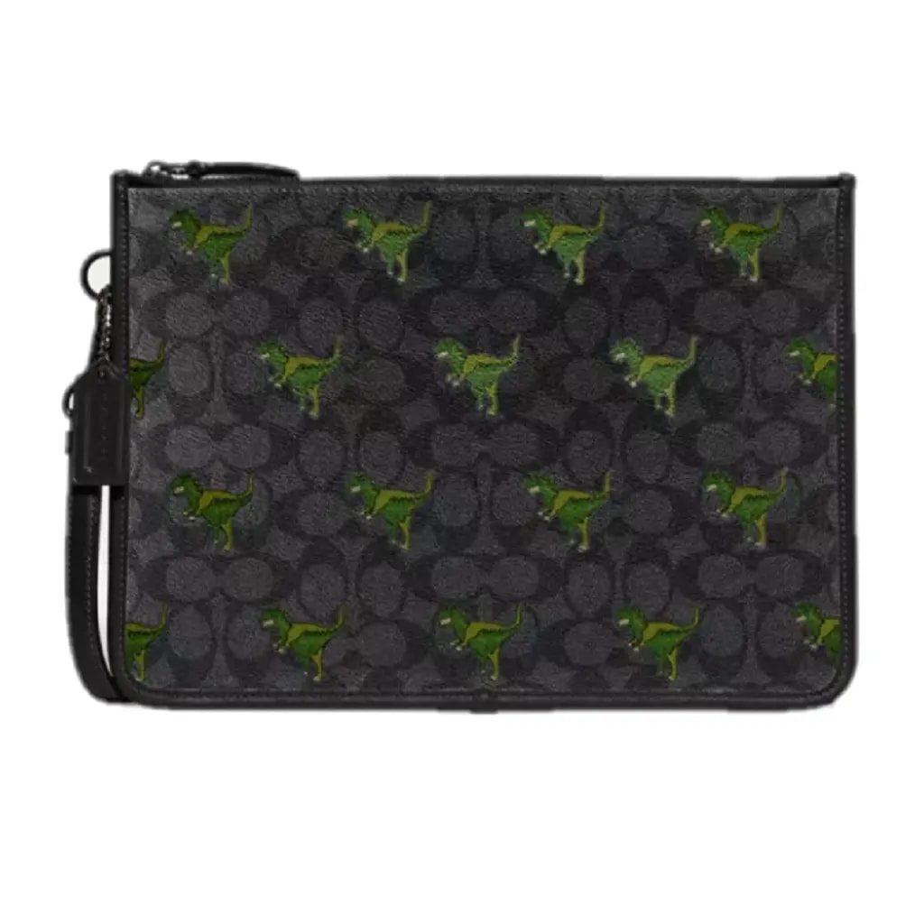Túi Coach Charter Pouch 'Rexy' CF063-MI5