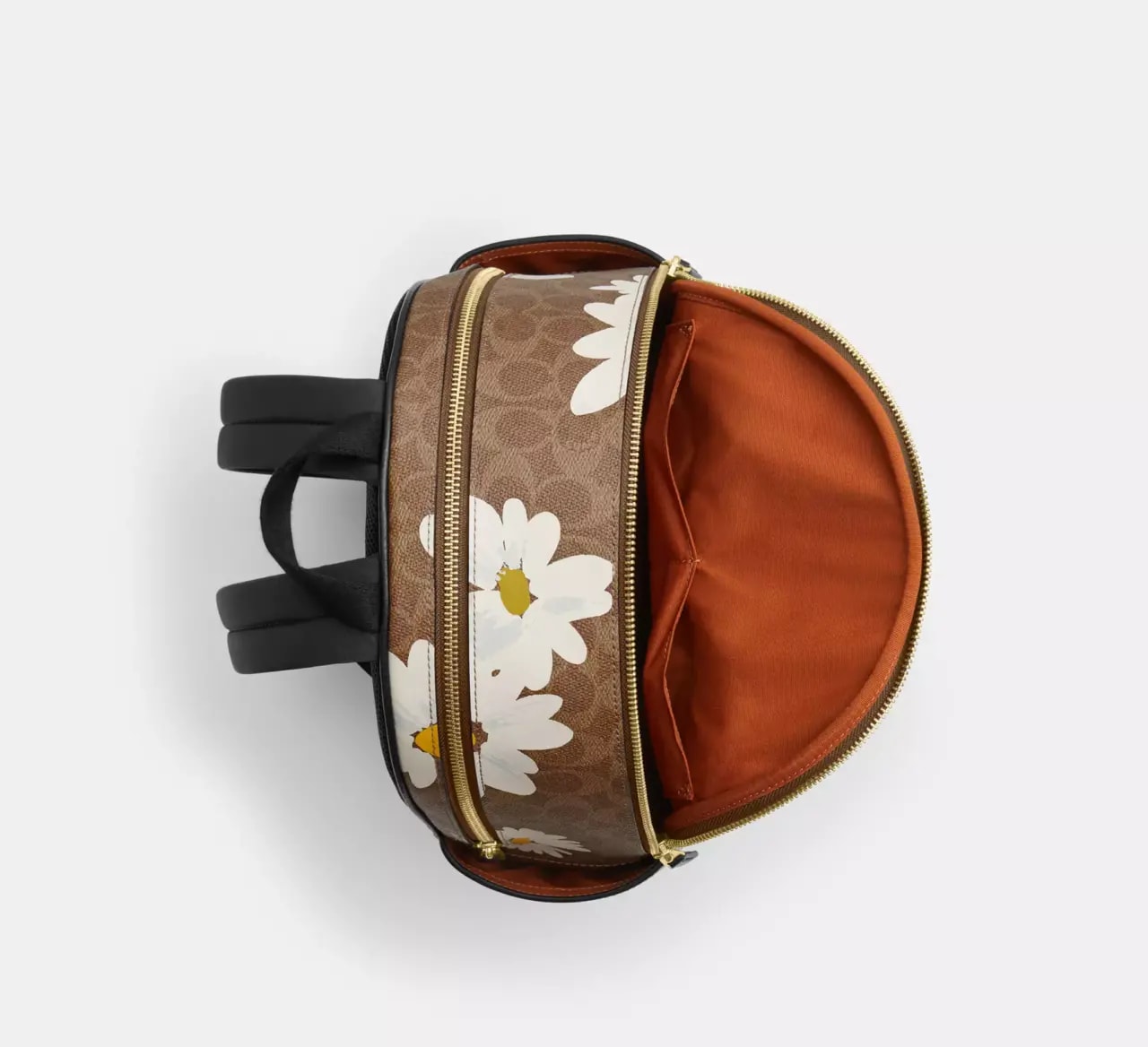 Balo Coach Court Canvas Floral Print 'Tan' CZ599-IMTAM — ảnh 3