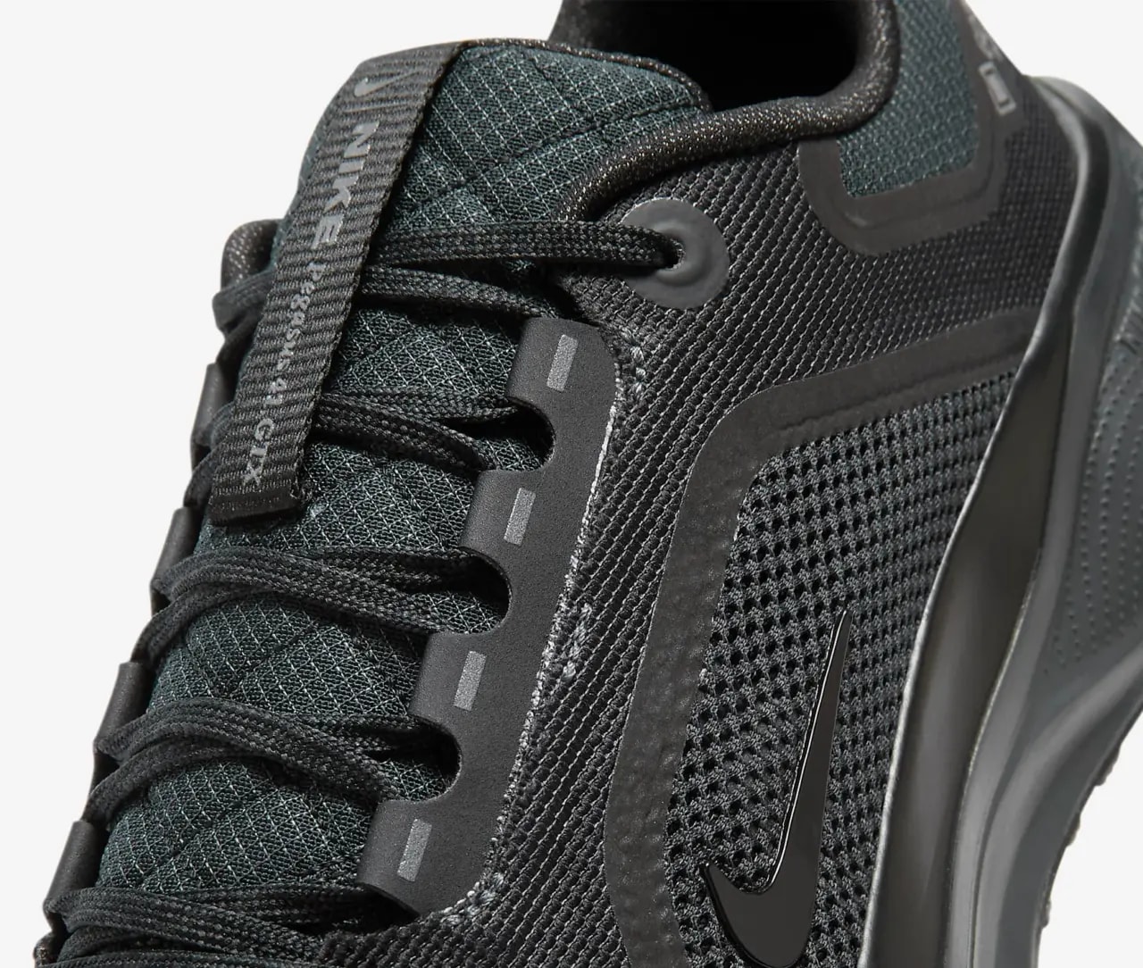 Giày Nike Pegasus 41 Gore-Tex 'Black Anthracite' FQ1356-001 — ảnh 2