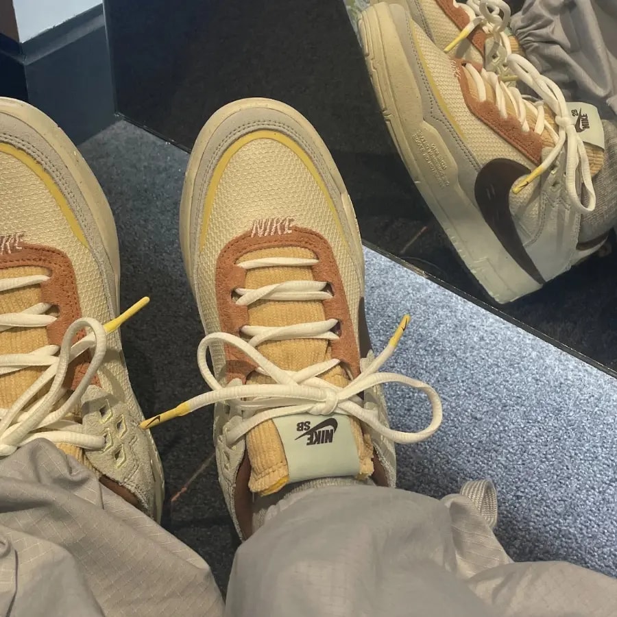 Giày Nike SB Day One 'Coconut' HQ3475-121 — ảnh 3