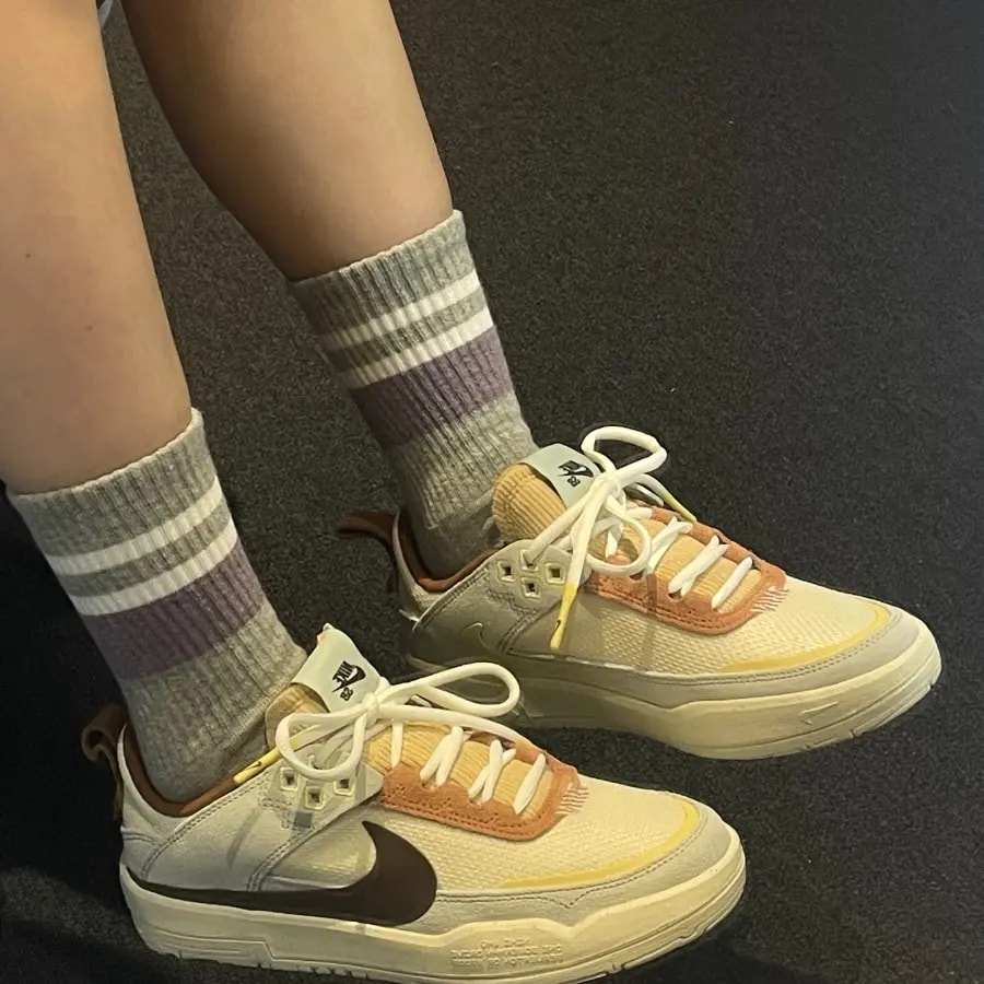 Giày Nike SB Day One 'Coconut' HQ3475-121 — ảnh 4