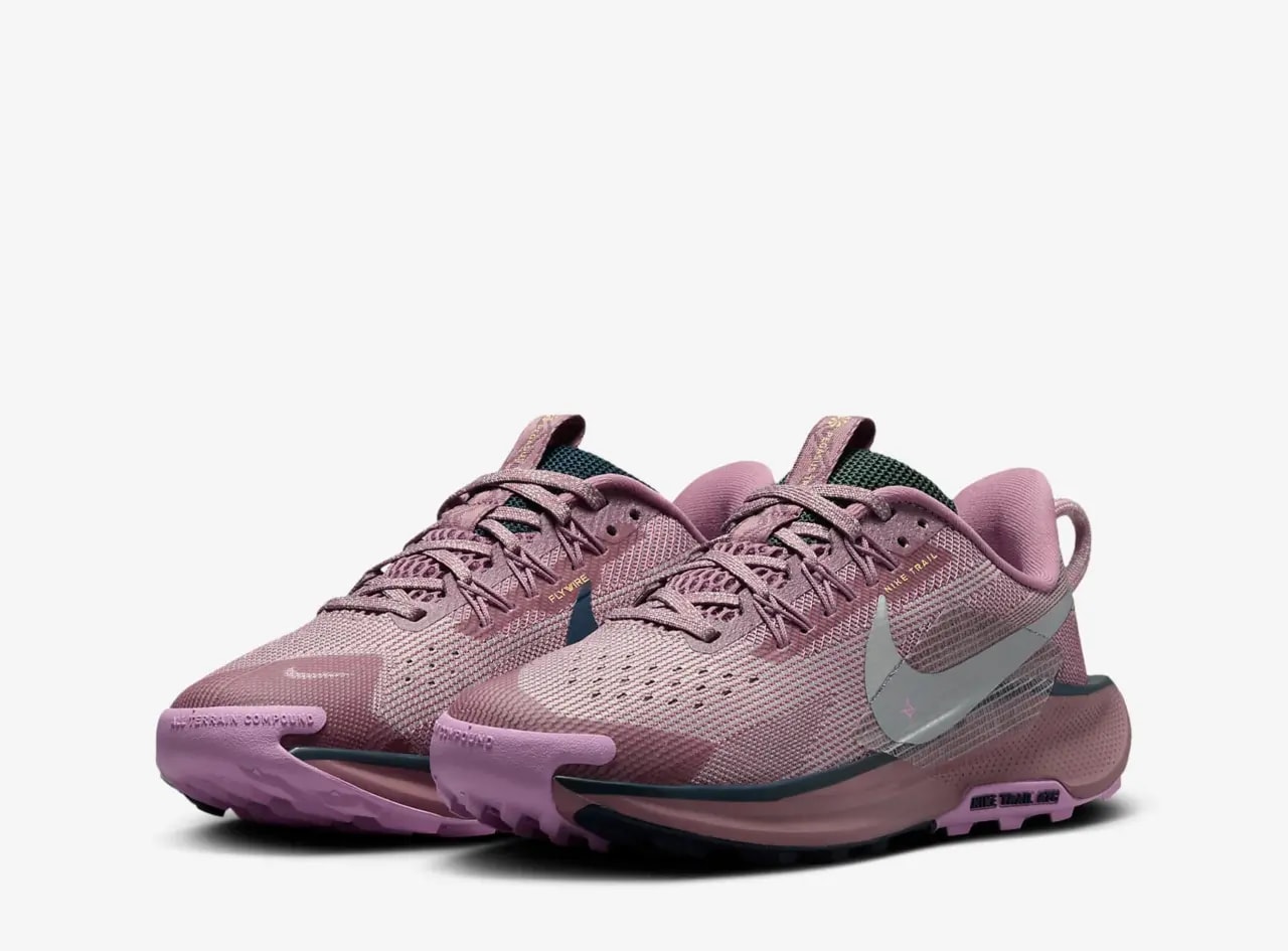 Giày Nike Pegasus Trail 5 GS 'Plum Dust' FV5638-500 — ảnh 4