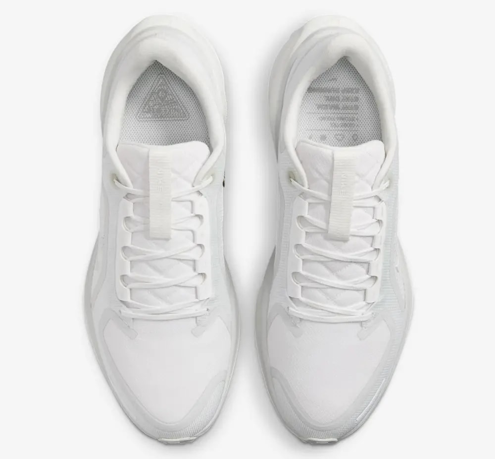 Giày Nike Air Zoom Pegasus 41 Gore-Tex 'Photon Dust' FQ1356-101 — ảnh 5