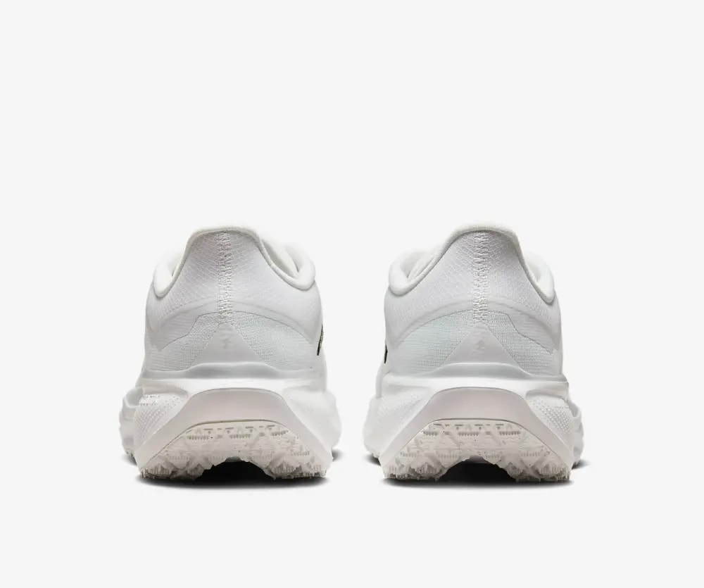 Giày Nike Air Zoom Pegasus 41 Gore-Tex 'Photon Dust' FQ1356-101 — ảnh 3