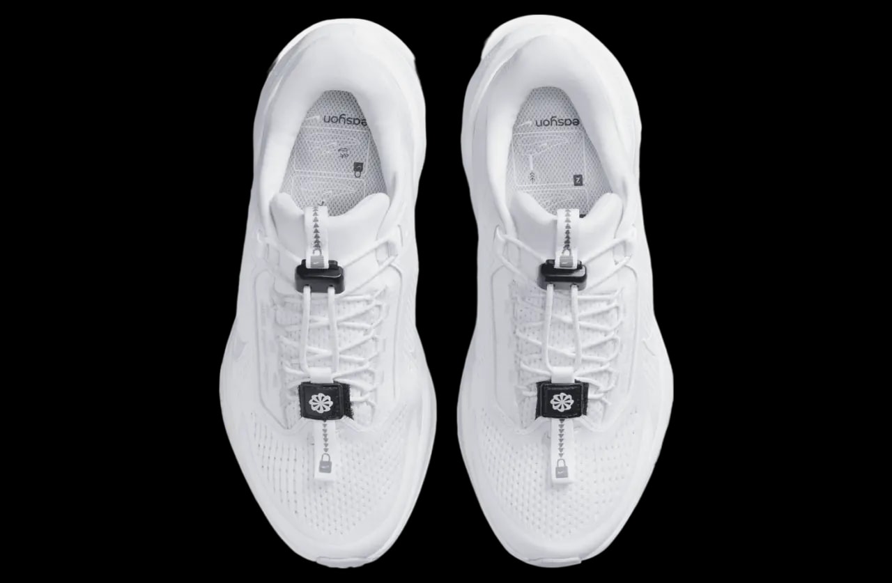 Giày Nike Air Zoom Pegasus 41 EasyOn 'White' FQ7844-101 — ảnh 4