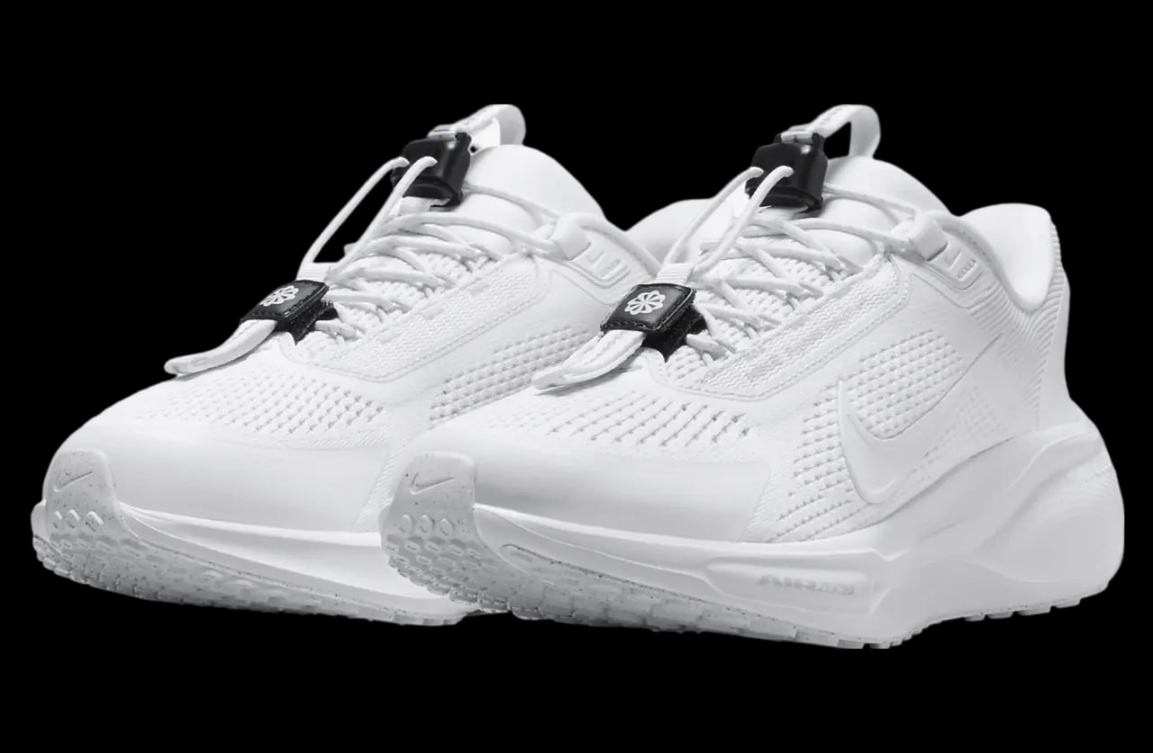 Giày Nike Air Zoom Pegasus 41 EasyOn 'White' FQ7844-101 — ảnh 3