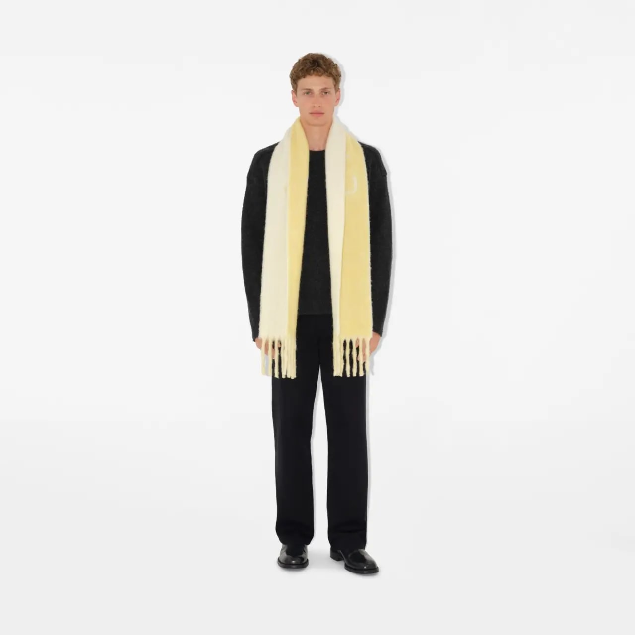 Khăn Burberry Reversible Logo Alpaca Wool Blend Scarf 'Sandstone' 80972111 — ảnh 2