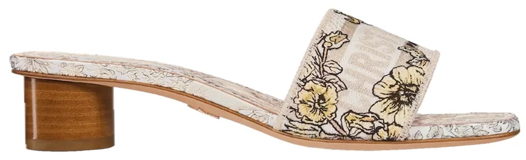 Dép Dior Dway Heeled Slide 'Multicolor' KCQ902UEL-S62K — kich-thuoc: 36