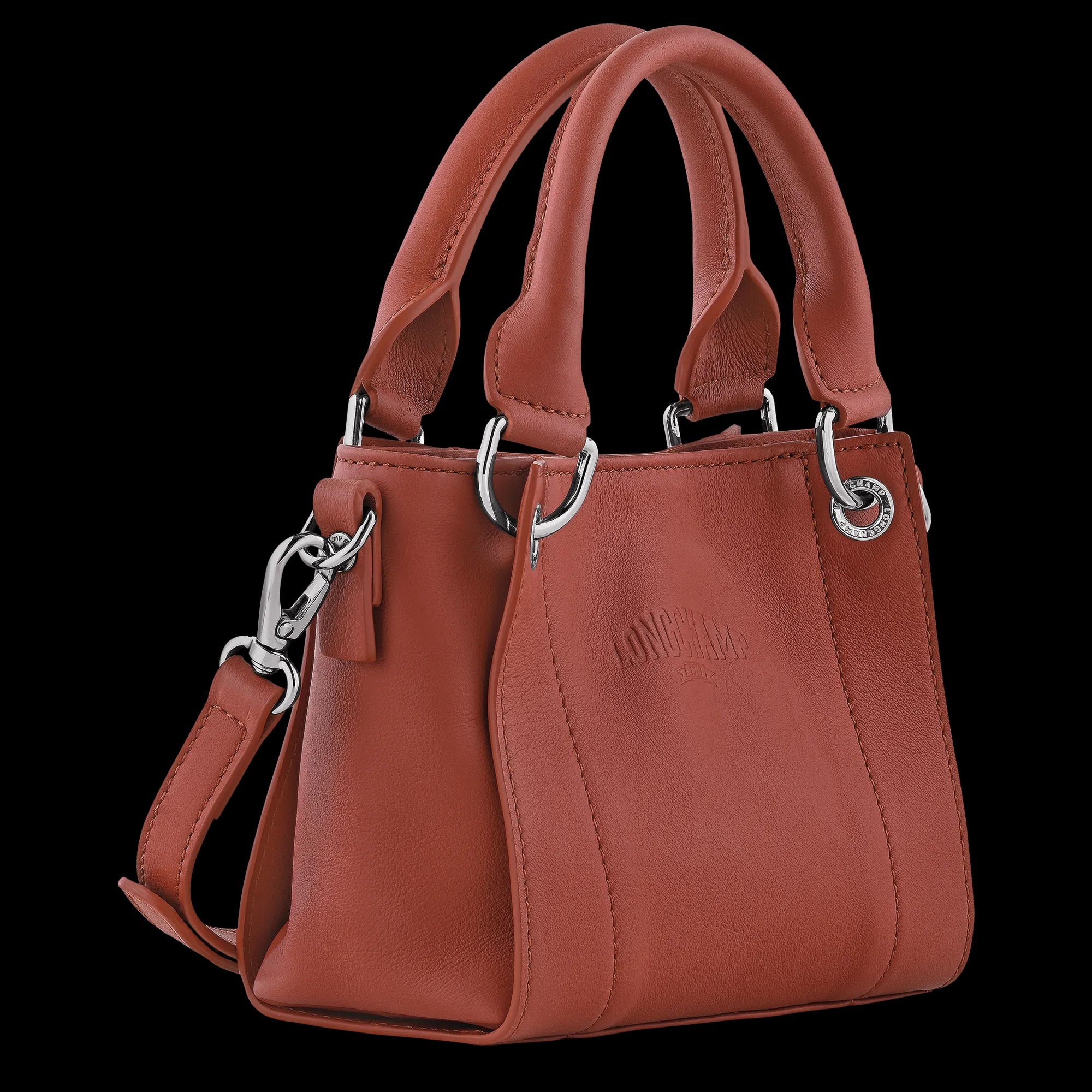 Túi Longchamp 3D XS Handbag 'Chestnut' 10254HFA404 — ảnh 3