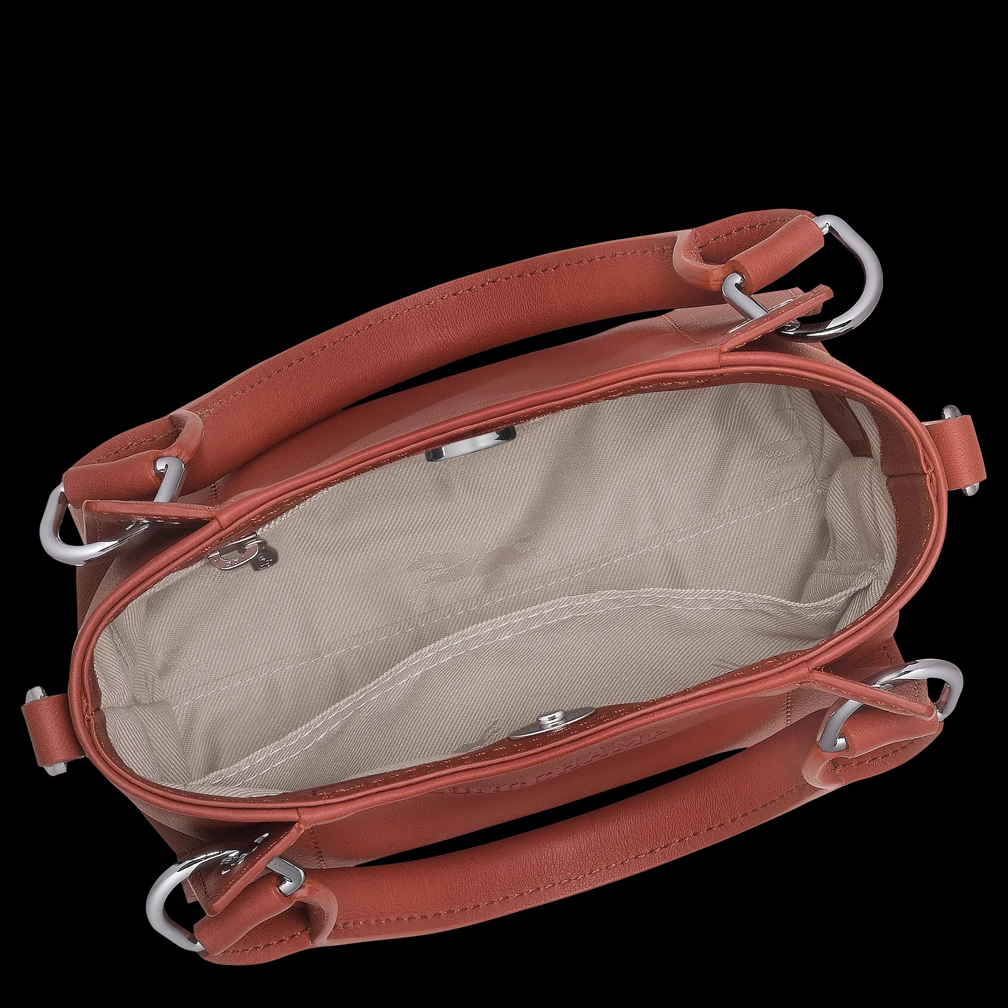 Túi Longchamp 3D XS Handbag 'Chestnut' 10254HFA404 — ảnh 4