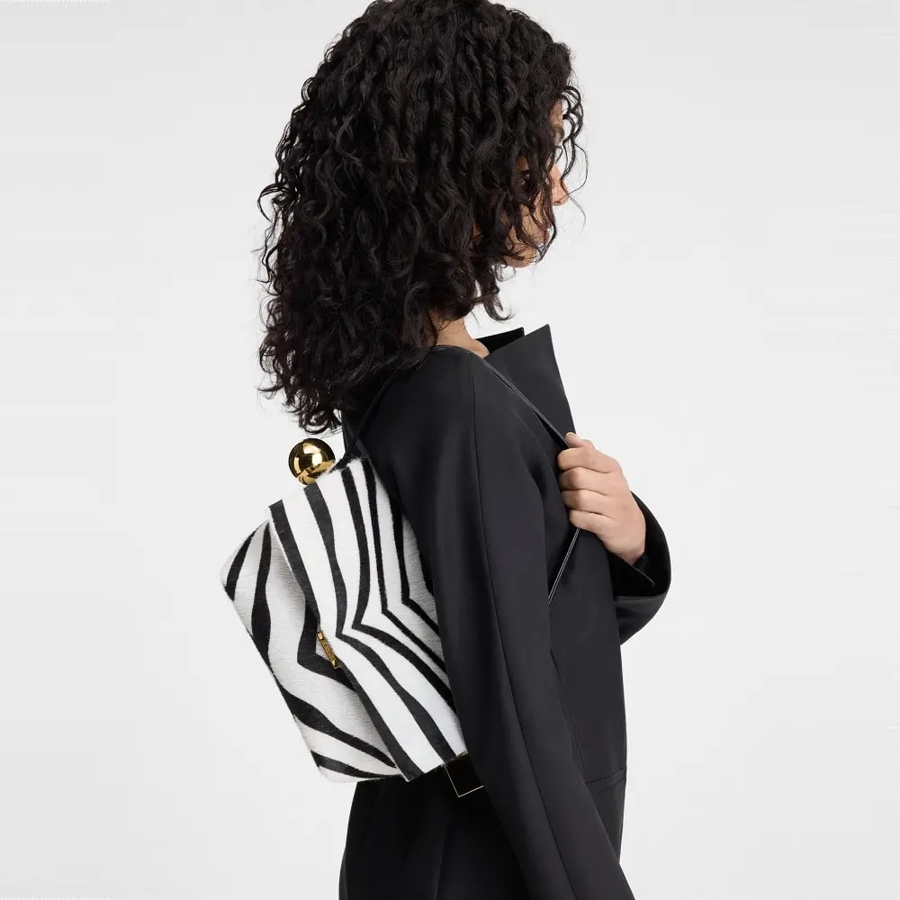 Túi Jacquemus The Rond Carré 'Zebra' 243BA383-3209-9DZ — ảnh 2