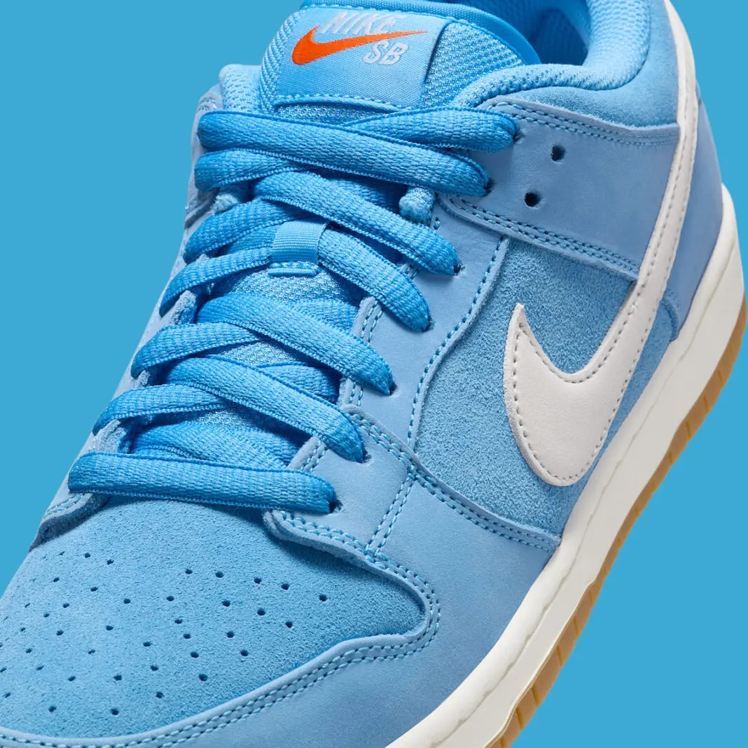 Giày Nike SB Dunk Low Pro 'University Blue Gum' FJ1674-401 — ảnh 2
