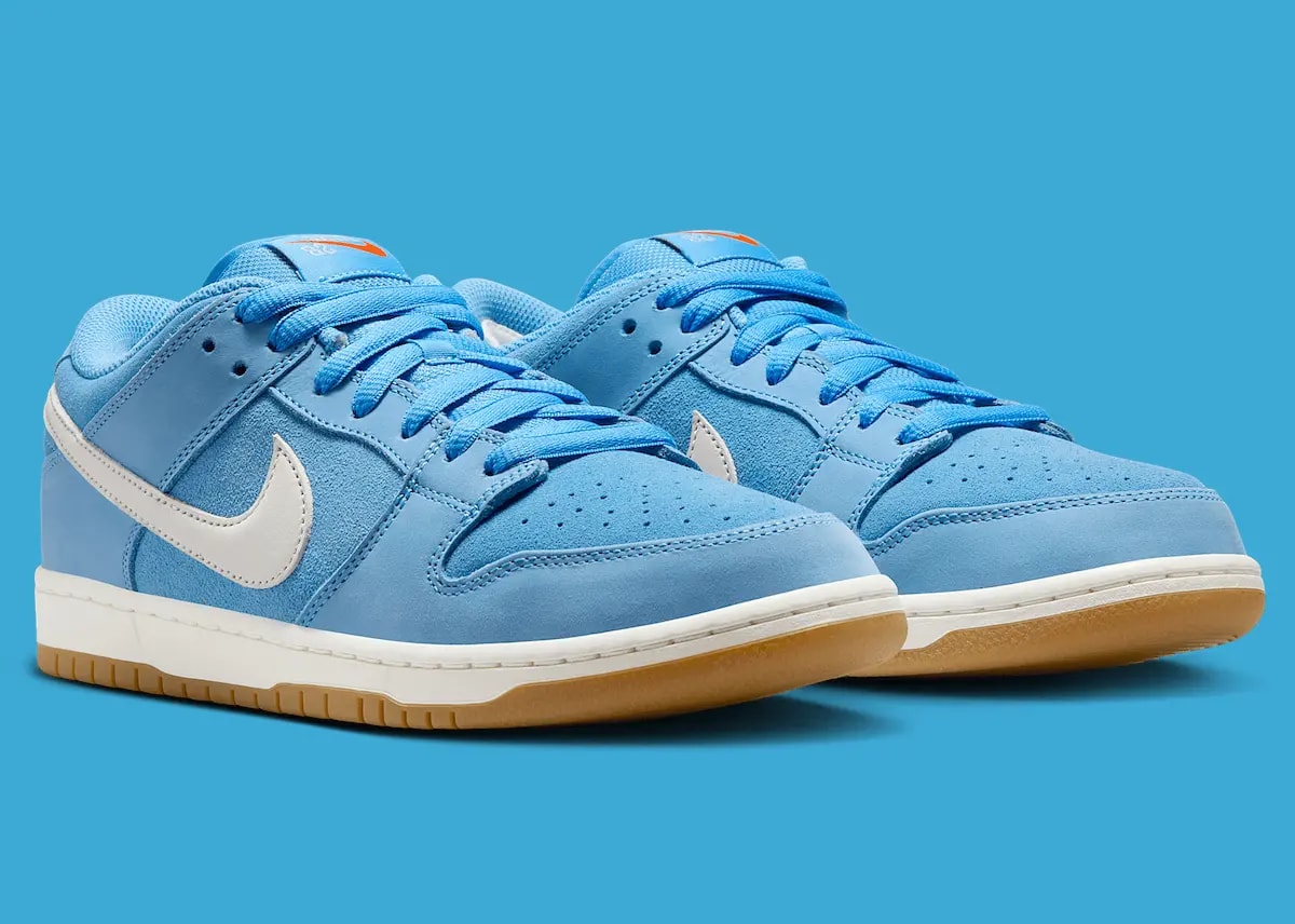 Giày Nike SB Dunk Low Pro 'University Blue Gum' FJ1674-401 — ảnh 5