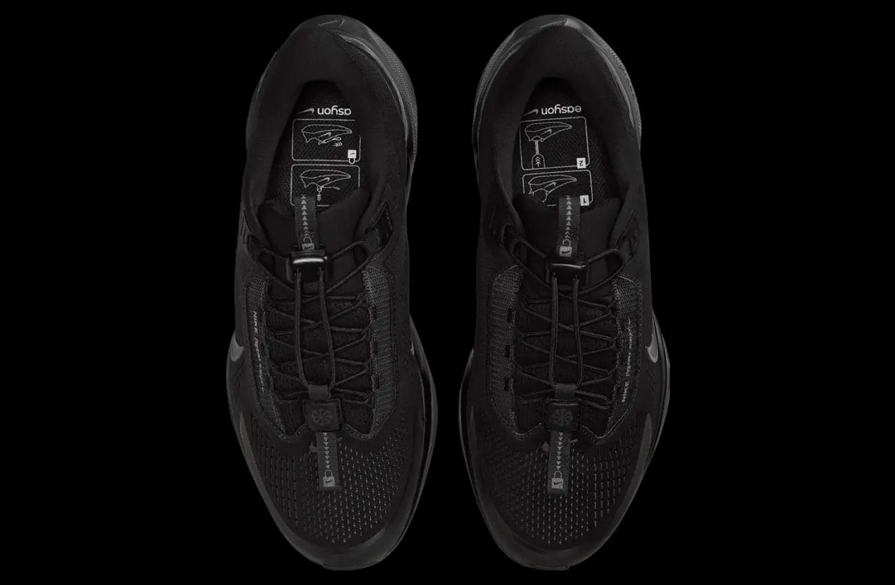 Giày Nike Air Zoom Pegasus 41 EasyOn 'Black Anthracite' FQ7837-001 — ảnh 3