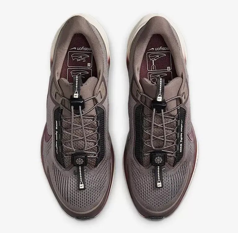 Giày Nike Air Zoom Pegasus 41 EasyOn 'Cave Stone' FQ7837-201 — ảnh 2